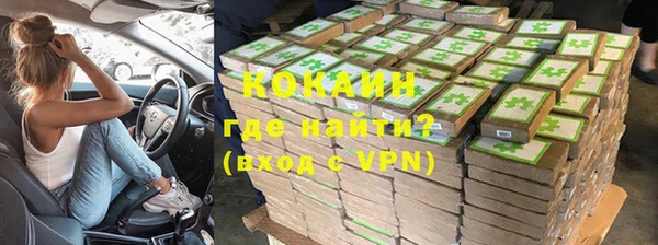 индика Протвино
