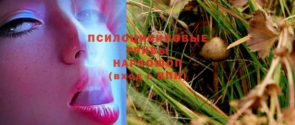 spice Балахна