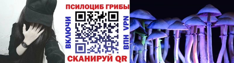 Псилоцибиновые грибы мицелий Чудово